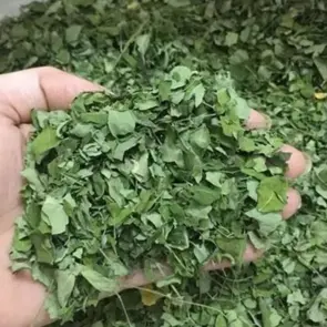 MORINGA